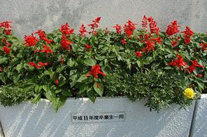 ボーカル専門学校を探しているときには