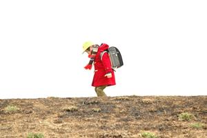 インターナショナルスクールを考えているなら